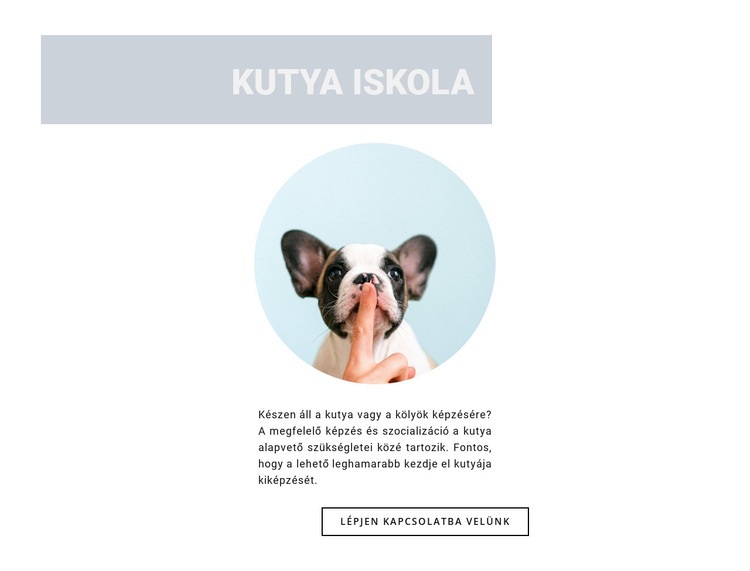 Engedelmes kutya Weboldal tervezés