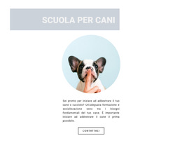 Cane Obbediente #Website-Templates-It-Seo-One-Item-Suffix