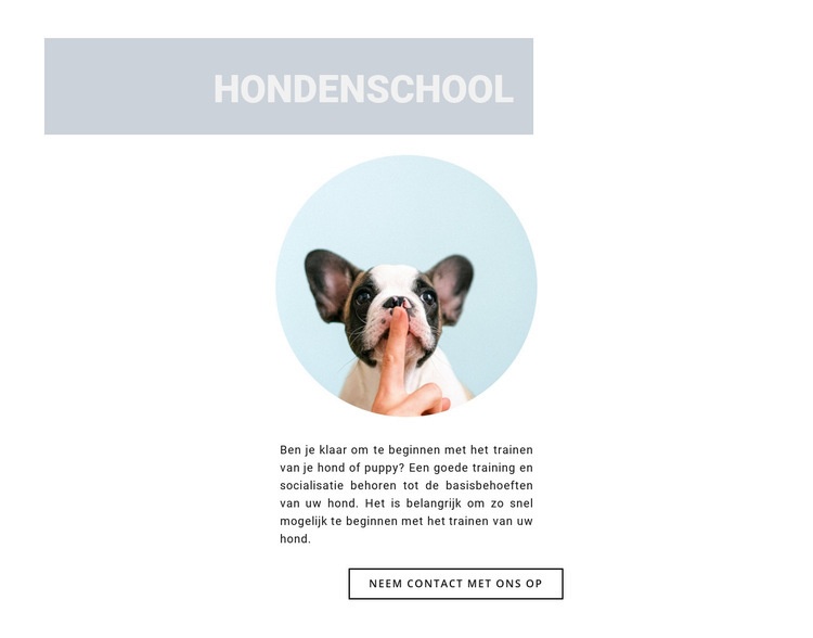 Gehoorzame hond Html Website Builder