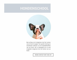 Gehoorzame Hond - Multifunctionele Producten