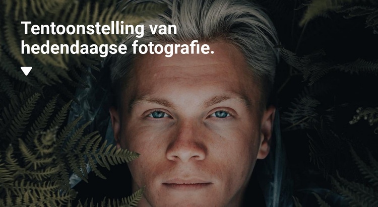 Expositie van exclusieve foto's Sjabloon voor één pagina