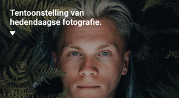 Beste WordPress-Thema Voor Expositie Van Exclusieve Foto'S