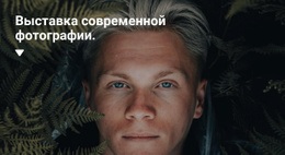 Выставка Эксклюзивных Фотографий – Бесплатный Дизайн Сайта