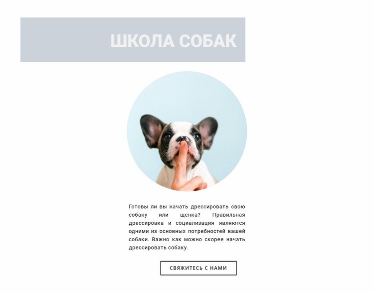 Послушная собака Дизайн сайта