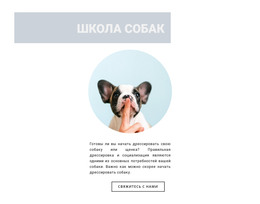 Послушная Собака – Загрузка HTML-Шаблона