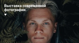 Выставка Эксклюзивных Фотографий - Каркасный Макет