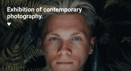 Exhibition Of Exclusive Photographs - Web Page Design For Inspiration