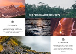 7 Continentes, Milhares De Viagens Modelo De Site CSS Gratuito