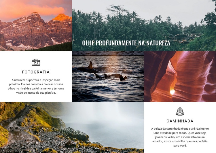 7 continentes, milhares de viagens Modelo HTML5