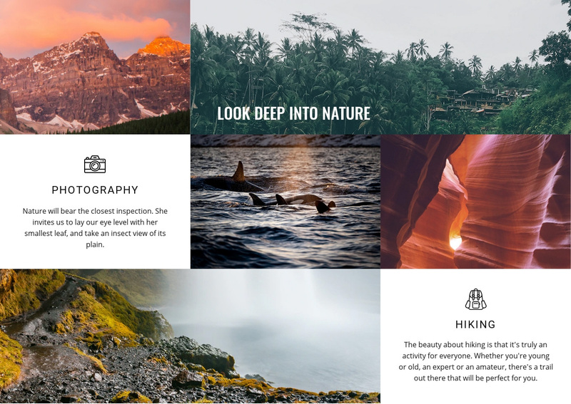 7 continents, thousands of trips Squarespace Template Alternative