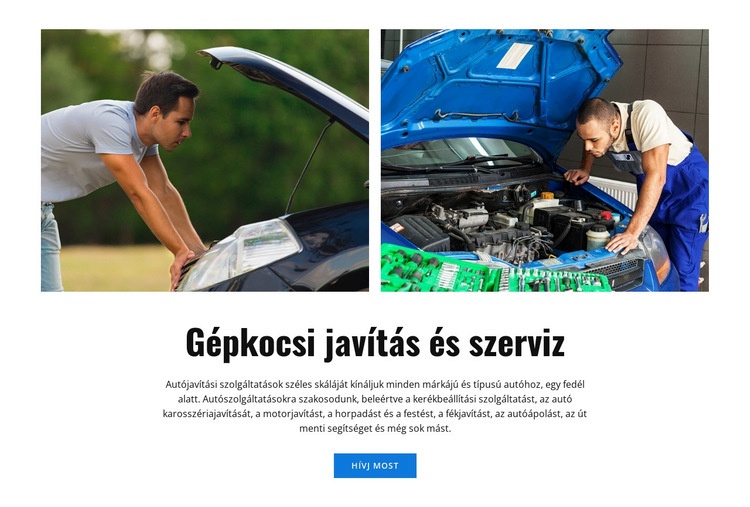 Szervizmegálló Weboldal sablon