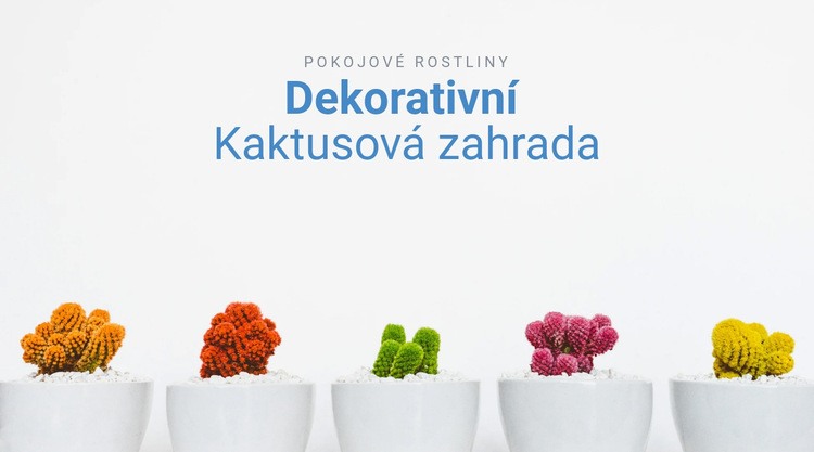 Dekorativní kaktusová zahrada Šablona CSS