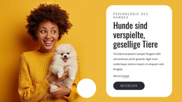 Hunde Sind Verspielt – Fertiges Website-Design