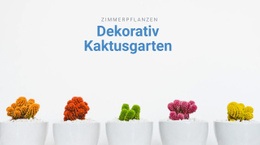 Dekorativer Kaktusgarten - Beste Zielseite