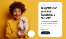 Los Perros Son Juguetones Bienes Raíces