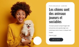 Les Chiens Sont Joueurs - Belle Maquette De Site Web