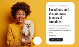 Les Chiens Sont Joueurs – Inspiration De Modèle HTML5