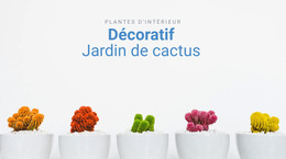 Superbe Modèle Joomla Pour Jardin De Cactus Décoratif