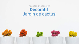 Jardin De Cactus Décoratif : Modèle De Site Web Simple