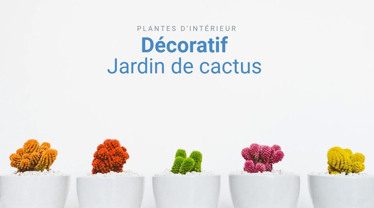Jardin de cactus décoratif Page de destination