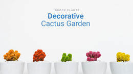 Web Design For Decorative Cactus Garden