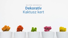 Webdesign Dekoratív Kaktusz Kert Számára