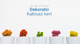 Dekoratív Kaktusz Kert - Ingyenesen Letölthető Weboldal Tervezés