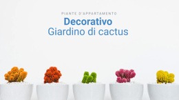 Giardino Di Cactus Decorativo