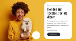 Honden Zijn Speels Creatief Bureau