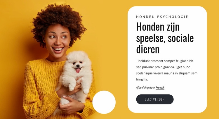 Honden zijn speels Html Website Builder