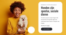 Honden Zijn Speels