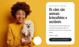 Cães São Brincalhões