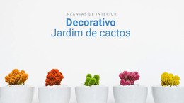 Web Design Para Jardim Decorativo De Cactos