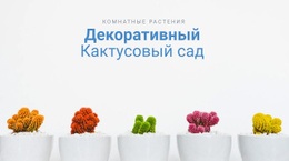 Декоративный Сад Кактусов – Дизайн Сайта Скачать Бесплатно