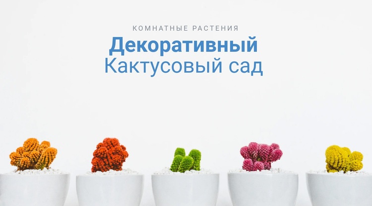 Декоративный сад кактусов Конструктор сайтов HTML