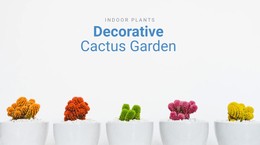 Decorative Cactus Garden - Modern Static Site Generator