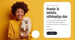 Hundar Är Lekfulla HTML5 & CSS3-Mall