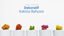 Dekoratif Kaktüs Bahçesi Duyarlı CSS Şablonu