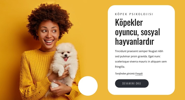 Köpekler oyuncudur CSS Şablonu