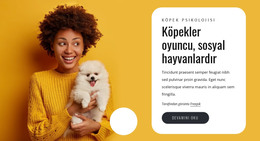 Köpekler Oyuncudur