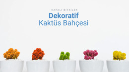 Dekoratif Kaktüs Bahçesi Için Web Tasarımı