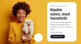 Köpekler Oyuncudur - Tek Sayfalık Web Sitesi Şablonu