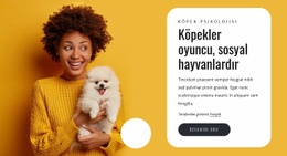 Köpekler Oyuncudur