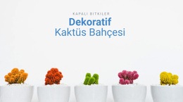 Dekoratif Kaktüs Bahçesi - Web Sitesi Tasarımını Ücretsiz Indirme