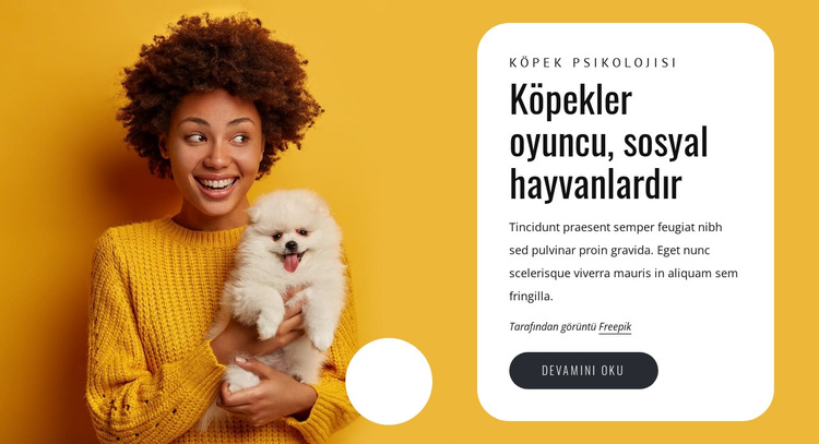 Köpekler oyuncudur WordPress Teması