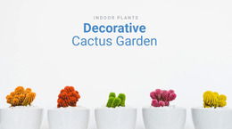 Decorative Cactus Garden Plant Website