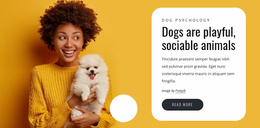 Dogs Are Playful - Business Premium Website Template