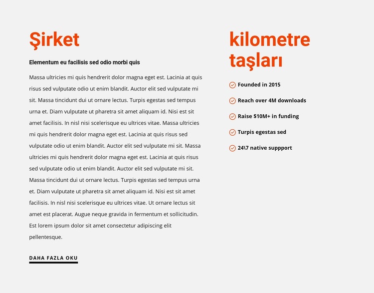 kilometre taşları Web Sitesi Mockup'ı