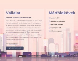A Fejlesztő Cégről #Html-Templates-Hu-Seo-One-Item-Suffix