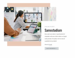 Víceúčelový Motiv WordPress Pro Samostudium